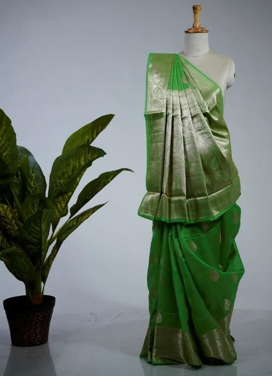 Shop Primary Image Shop Primary Image